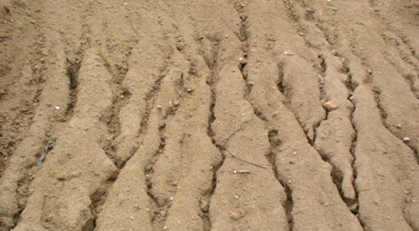 Les gazons en plaques protège le sol des ruissellements